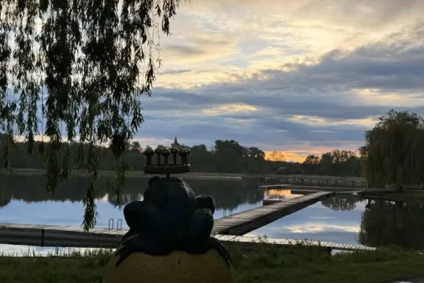 Psy błąkają się w Kłębach – jeden utyka, mieszkańcy proszą o pomoc