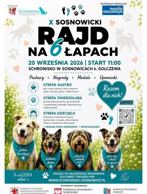 X Sosnowicki Rajd na 6 Łapach: Jubileuszowy spacer dla psów w Sosnowicach
