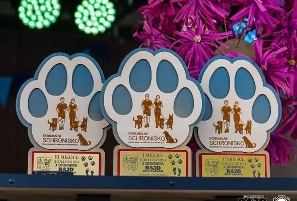 X Jubileuszowy Bieg na 6 „Łapach” w Sosnowicach – relacja z wyjątkowego dnia