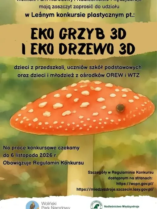 Rusza konkurs EKO GRZYB 3D i EKO DRZEWO 3D – czekają nagrody!