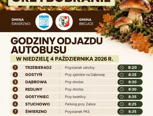 Wspólne grzybobranie w Krzepocinie – gmina Brojce organizuje dojazd autobusem