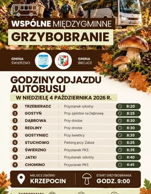 Wspólne grzybobranie w Krzepocinie – gmina Brojce organizuje dojazd autobusem